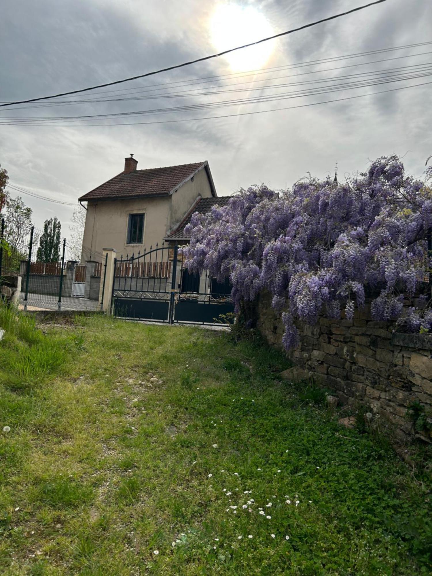 Hieres-Sur-Amby Les Glycinesヴィラ エクステリア 写真